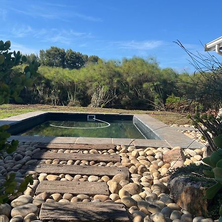 Tenikwa Wildlife Centre & Spa Plettenberg Bay Exterior foto