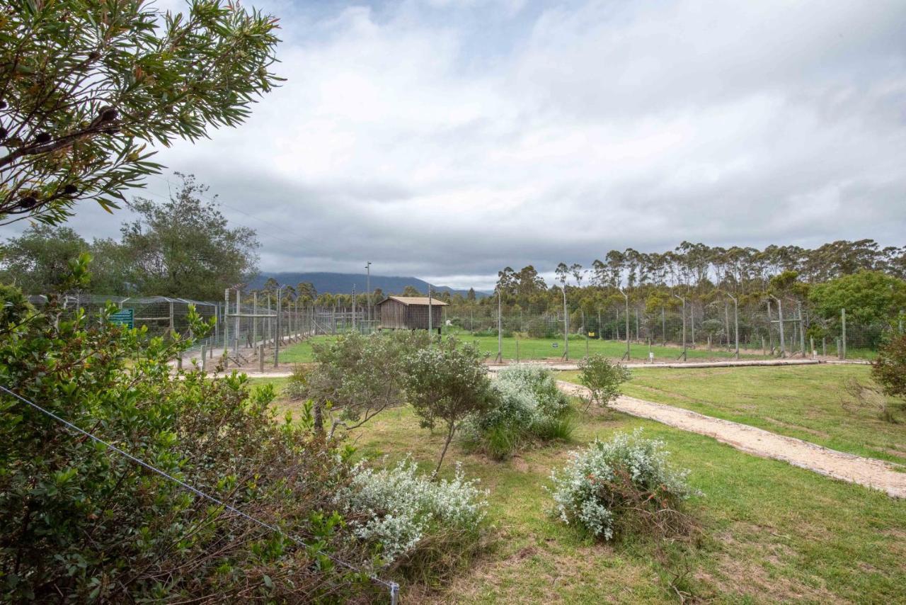 Tenikwa Wildlife Centre & Spa Plettenberg Bay Exterior foto