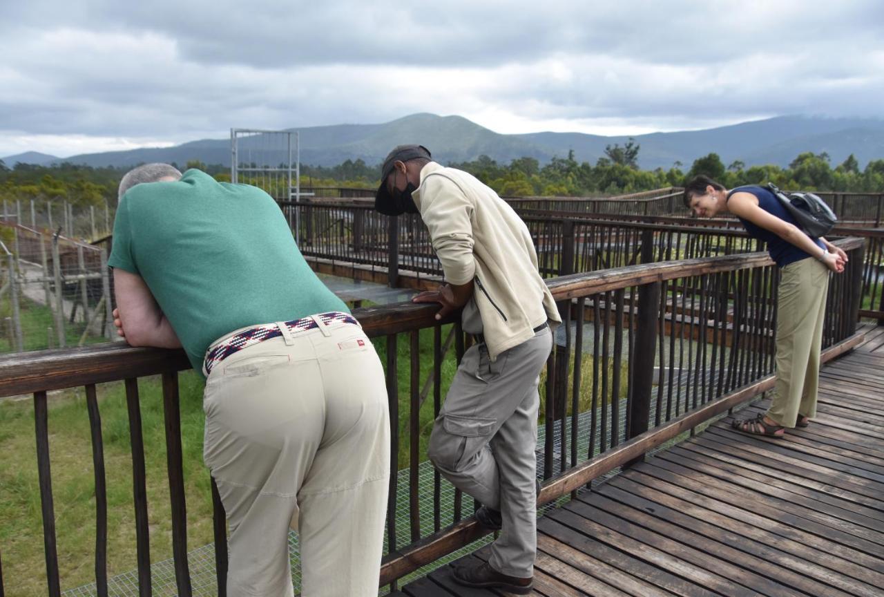 Tenikwa Wildlife Centre & Spa Plettenberg Bay Exterior foto