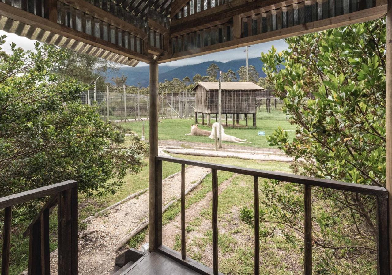 Tenikwa Wildlife Centre & Spa Plettenberg Bay Exterior foto